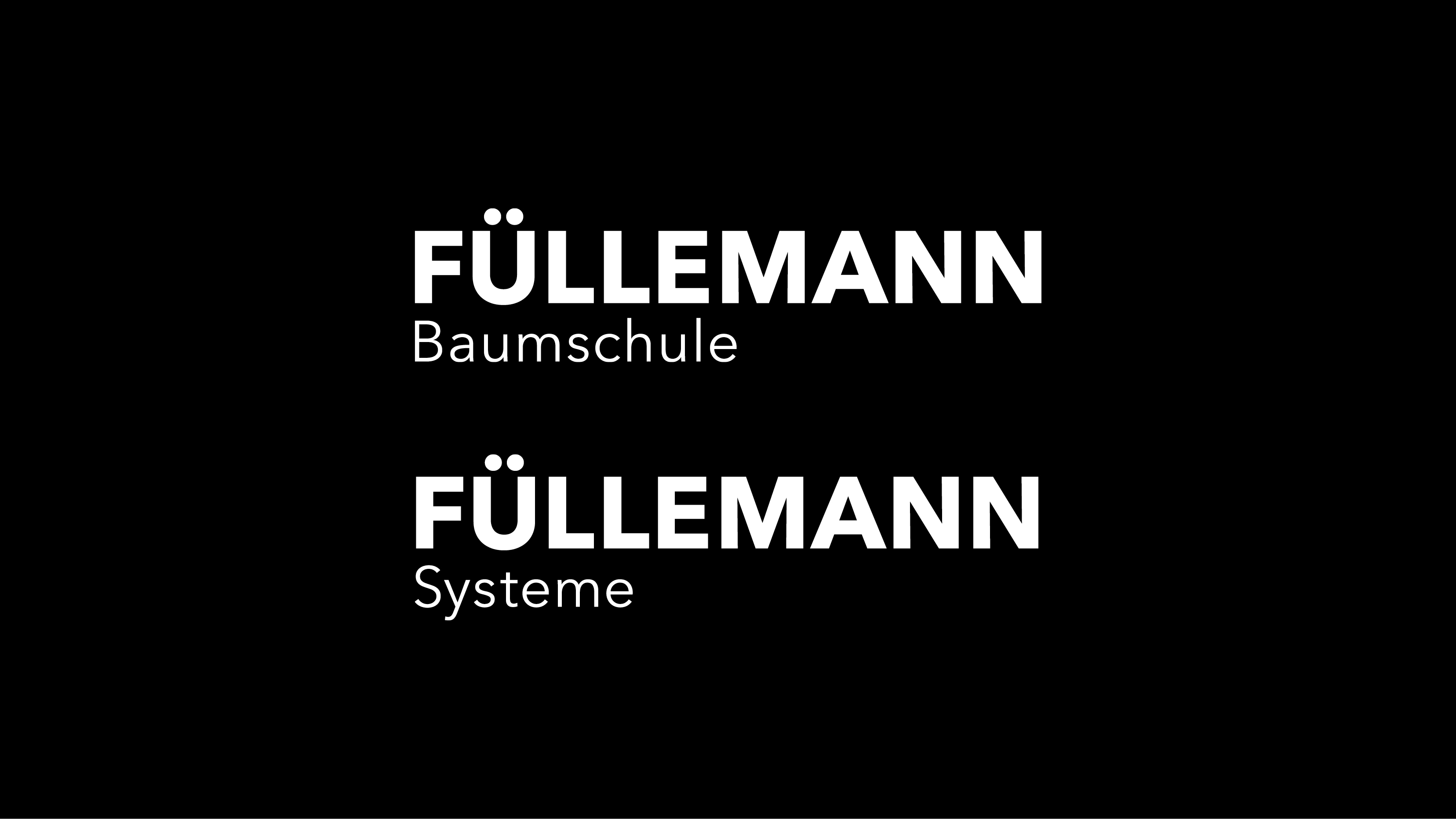 [Translate to Italian:] Füllemann AG